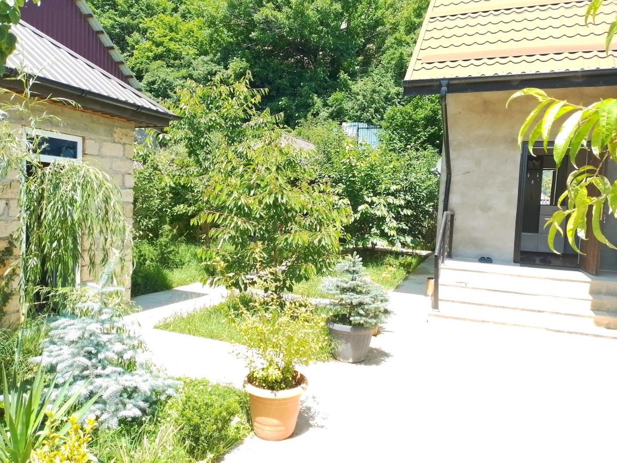 Dom Semya Deluxe Gusar Гусар Экстерьер фото